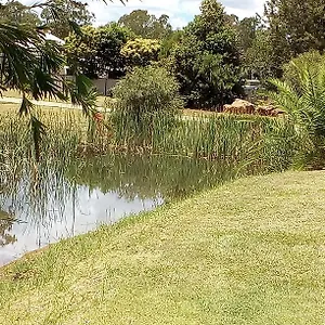 Farm stay Units And, Wondai