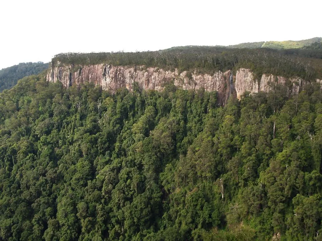 بيت خشبي فيلا Springbrook Lyrebird Retreat