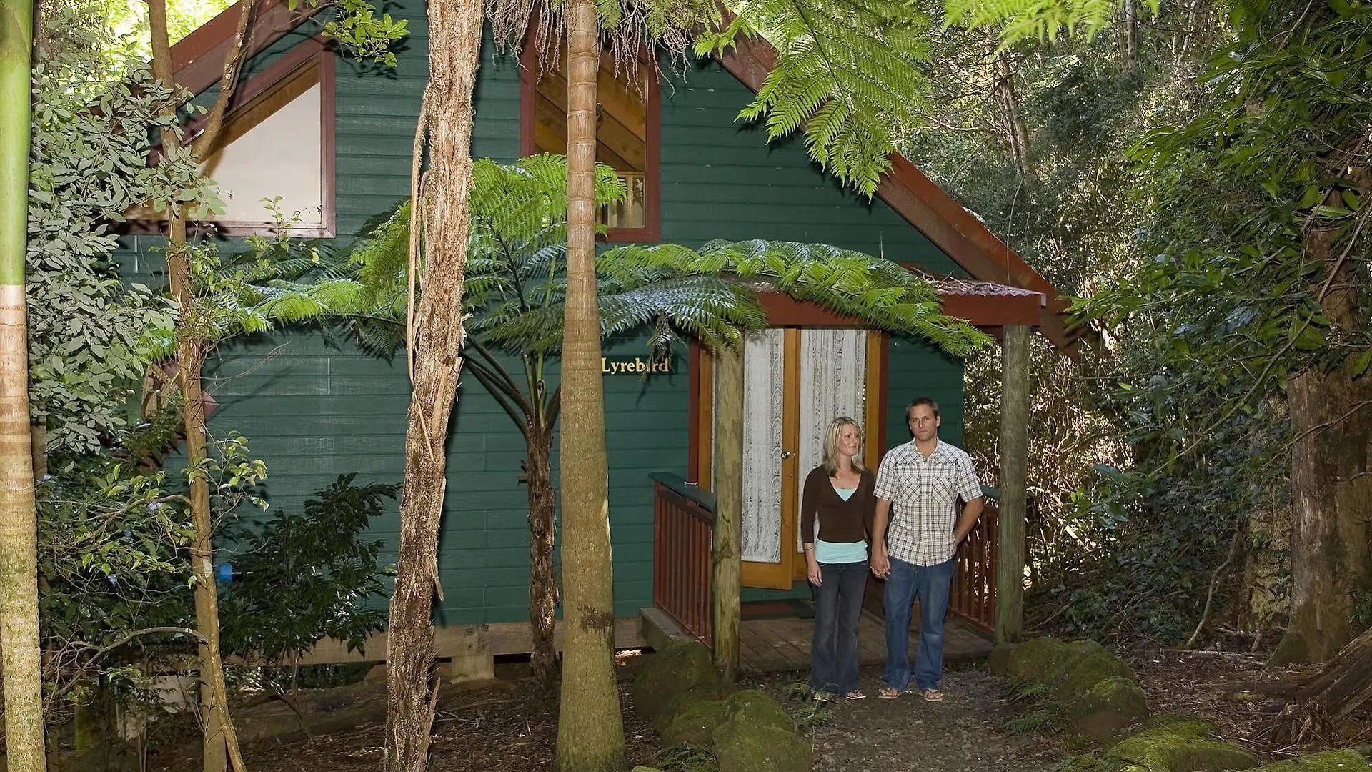 بيت خشبي فيلا Springbrook Lyrebird Retreat أستراليا