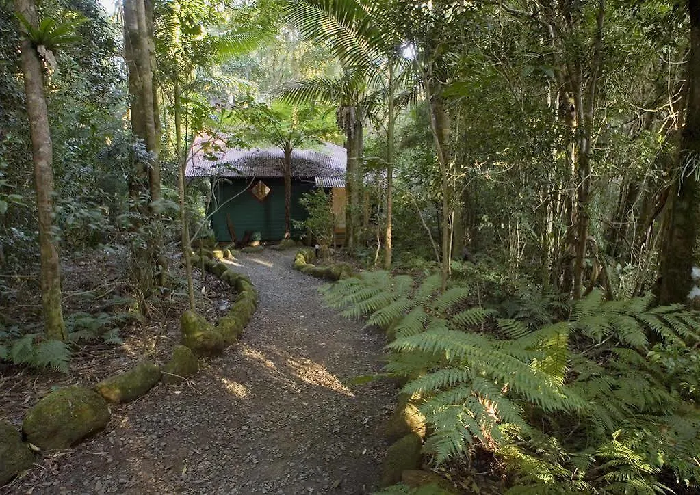 بيت خشبي فيلا Springbrook Lyrebird Retreat