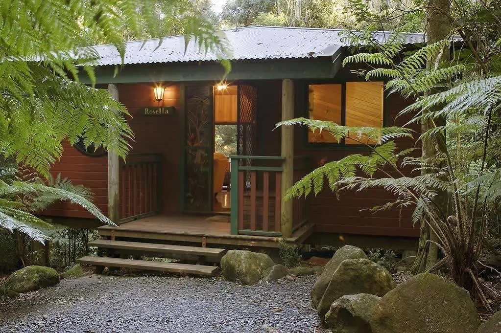 فيلا Springbrook Lyrebird Retreat أستراليا